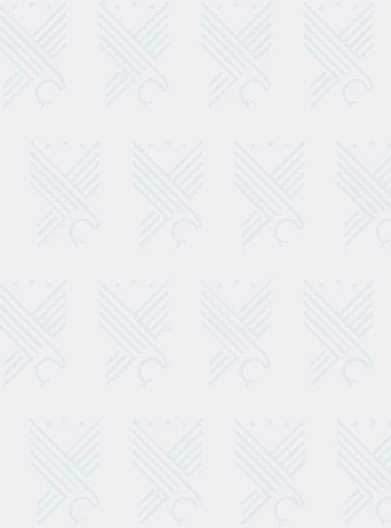 A light grey background featuring a repeated pattern of stylized, subtly embossed eagle and star motifs.